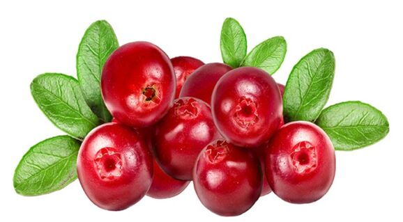 OCUVIT enthält einen Blaubeerbeerenextrakt